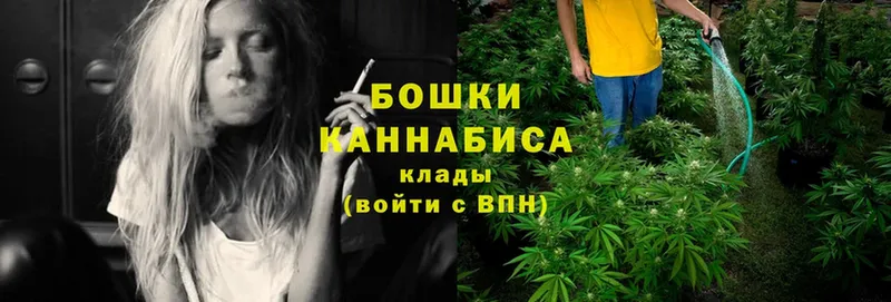 Шишки марихуана OG Kush  купить закладку  Югорск 